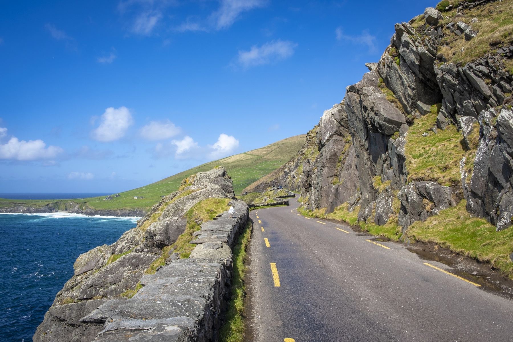Alpine coastal grand-touring road